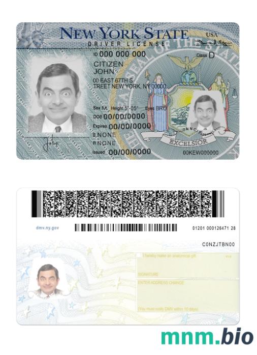 New York driving license version 2 ze wszystkimi czcionkami